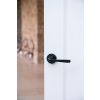 Black Avon Round Lever on Rose Set (Art Deco)