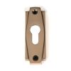 Polished Bronze Art Deco Euro Escutcheon