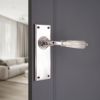 Regency Lever on Backplate Latch Polished Nickel