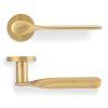 Valli Perkins&Will Lever on Round Rosette - Satin Brass PVD