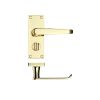 Zoo Hardware Project Victorian flat lever on privacy backplate - 114 x 40mm - Electro Brass