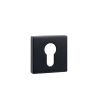 Tupai Rapido Curva/QuadraLine Euro Escutcheons on Square Rose - Pearl Black (Pair)