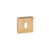 Forme Key Escutcheons on Minimal Square Rose - Yester Bronze (Pair)