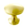 Zoo Hardware Top Drawer Fittings 24mm knob - Gold