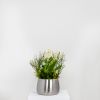 Satin Marine SS (316) 16cm Hepworth Pot