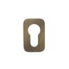 Zoo Hardware Euro Profile Escutcheon - Rosso Mini Squircle - 50 x 32 x 3 - Antique Brass
