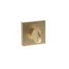 STATUS WC Turn and Release on S4 Square Rose - Satin Brass