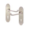 Oakley Lever on Backplate Lock Satin Nickel
