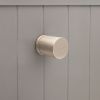 Cylinder Cupboard Pull Satin Silver
