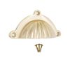 Shell Cup Pull Polished Brass