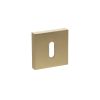 STATUS Key Escutcheons on S4 Square Rose - Satin Brass (Pair)
