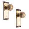 Beehive Knob on Backplate Lock Aged Brass