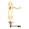 Zoo Hardware Project Oxford lever on euro backplate - 168mm x 42mm - Electro Brass