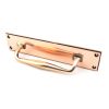 Polished Bronze 300mm Art Deco Pull Handle on Backplate