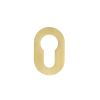 Zoo Hardware Euro Profile Escutcheon - Rosso Mini - 50 x 32 x 3 - PVD Satin Brass