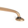 Polished Bronze Moore Pull Handle - Large