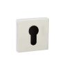Senza Pari Euro Escutcheons on Minimal Square Rose - Polished Chrome (Pair)