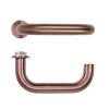 Zoo Hardware Maggiore Lever on 32mm Round Mini Rose - PVD Bronze