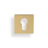 Valli Euro Profile Push-on Square Rosette Escutcheon - Satin Brass PVD