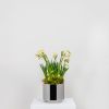 Polished Marine SS (316) 16cm Newlyn Pot