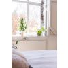 Satin SS (304) 4" x 3" x 5" Parliament Hinge (pair)