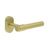 CR-103 Satin Brass Multi Point Oval Rose Door Handle - By Frelan Hardware - CR-103C4SB