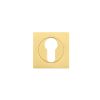 Zoo Hardware Square euro profile escutcheon - Favo Satin Brass