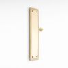 Georgian Finger Plate 300mm  Satin Brass