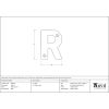 Satin Chrome Letter R