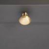 Mushroom 32mm Cupboard Knob Satin Brass