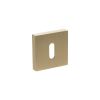 Senza Pari Key Escutcheons on Minimal Square Rose - Satin Brass