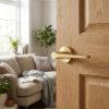 Complete Gio Door Handle Pack - Heavy Duty Latch - Satin Brass - 64mm / 3-inch Hinges - JE-E20B-SB