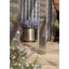 Satin Marine SS (316) 28cm Newlyn Pot