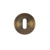 Zoo Hardware Escutcheon standard profile - Antique Brass