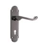 Oakley Lever on Backplate Lock Black Nickel