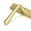 Satin Brass Newbury Slimline Lever Espag. Latch Set