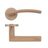 Zoo Hardware Amalfi lever on round rose - Tuscan Rose Gold