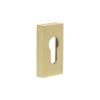 CRES Rectangular Satin Brass Euro Escutcheon - By Frelan Hardware - CRES404SB