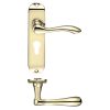 Zoo Hardware Project Arundel lever on euro backplate - 175mm x 42mm - Electro Brass