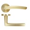 Zoo Hardware Santiago lever on rose - Satin Brass