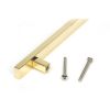 Polished Brass Scully Pull Handle - Large