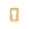 Zoo Hardware Euro Profile Escutcheon - Rosso Mini Squircle - 50 x 32 x 3 - PVD Satin Brass