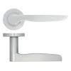Zoo Hardware Vigo lever on rose - Satin Chrome