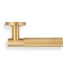 Valli Antonio Citterio Lever on Round Rosette (Zigrinato) - Satin Brass PVD