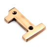 Polished Bronze Numeral 1