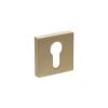 Senza Pari Euro Escutcheons on Minimal Square Rose - Satin Brass (Pair)