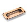 Polished Bronze Flush Handle