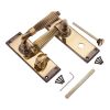Regency Lever on Backplate Bathroom Aged Brass