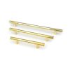 Polished Brass Judd Pull Handle - Large