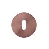 Zoo Hardware Standard Profile Escutcheon - Rosso Slim - 4mm - PVD Bronze